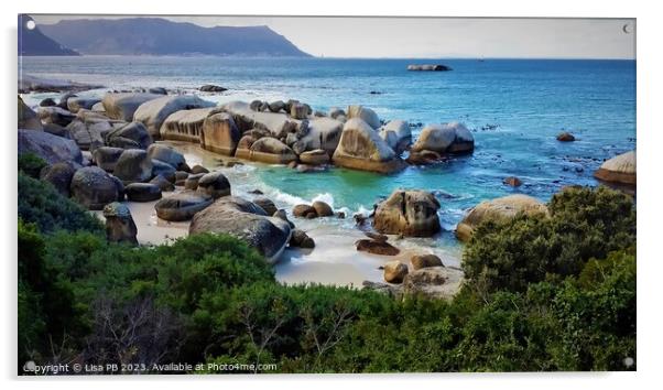 Boulders Beach Acrylic by Lisa PB