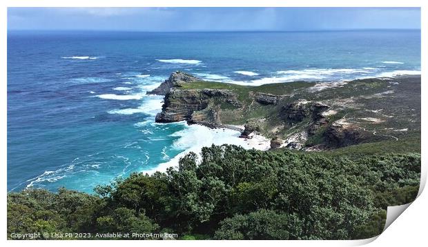 Cape Point Print by Lisa PB