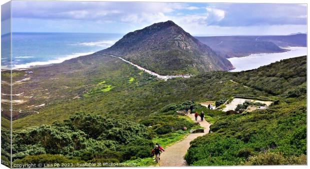 The Point at Cape Point Canvas Print by Lisa PB