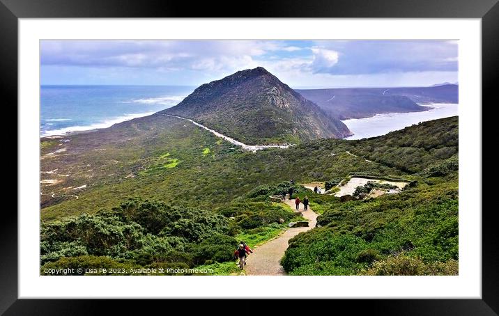 The Point at Cape Point Framed Mounted Print by Lisa PB