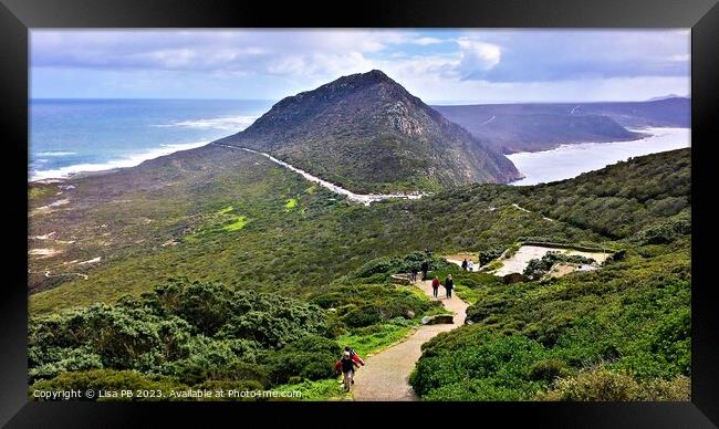 The Point at Cape Point Framed Print by Lisa PB