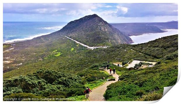 The Point at Cape Point Print by Lisa PB