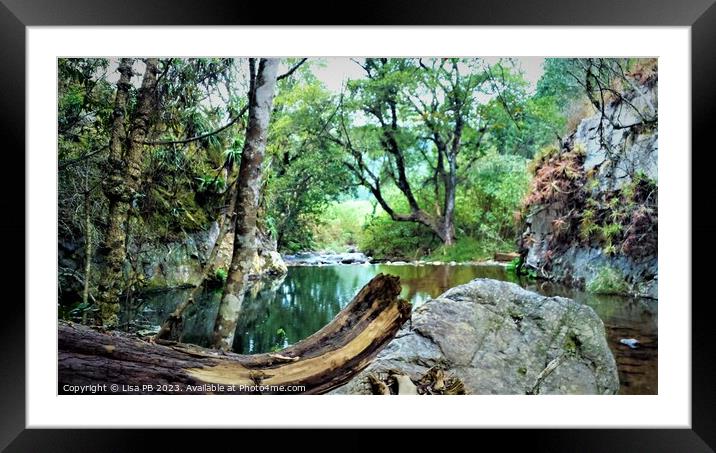 Horseshoe Falls  Framed Mounted Print by Lisa PB