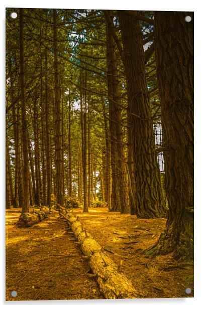 Holkham woods #2 Acrylic by Bill Allsopp