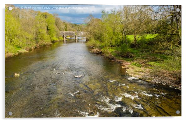 River Usk Brecon Beacons National Park Acrylic by Pearl Bucknall