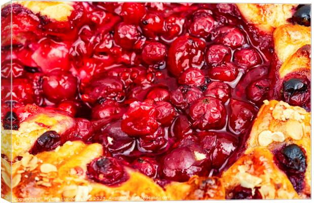Tart, pie, cake with berries. Canvas Print by Mykola Lunov Mykola