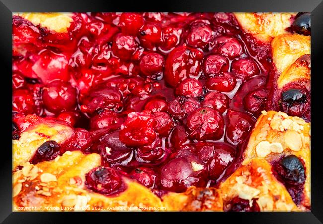 Tart, pie, cake with berries. Framed Print by Mykola Lunov Mykola