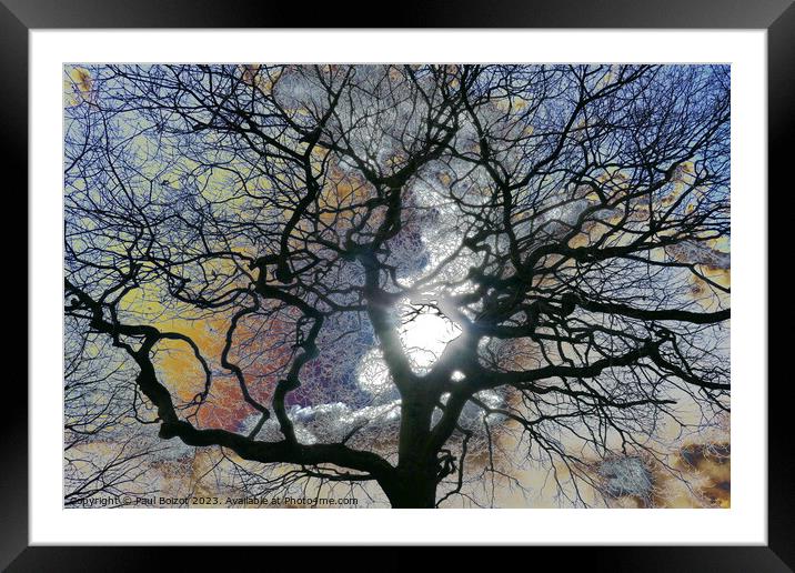 Oak tree in early Spring, York, coloured sky edit Framed Mounted Print by Paul Boizot