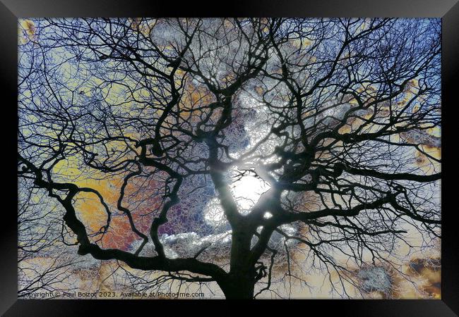 Oak tree in early Spring, York, coloured sky edit Framed Print by Paul Boizot