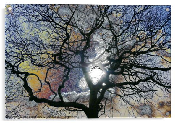 Oak tree in early Spring, York, coloured sky edit Acrylic by Paul Boizot