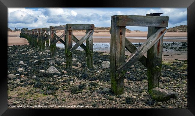 Decaying Relic: Lossiemouth's Old Wooden Bridge Framed Print by Tom McPherson