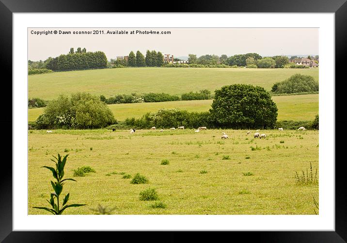 Woodlands Farm, Shooters Hill Framed Mounted Print by Dawn O'Connor