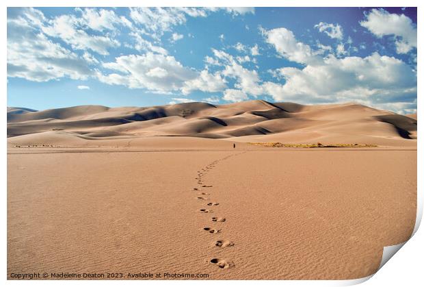 Desert Footprints Print by Madeleine Deaton