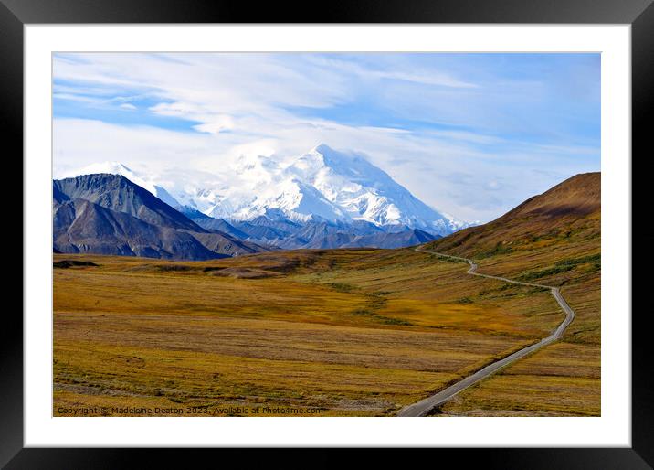 The Road to Denali in Glorious Fall Framed Mounted Print by Madeleine Deaton