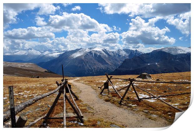 Rocky Mountain Trail Print by Madeleine Deaton