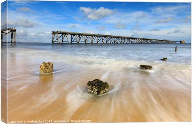 Towards Steetley Pier Canvas Print by Andrew Ray