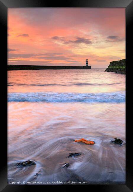 Sunrise at Seaham  Framed Print by Andrew Ray