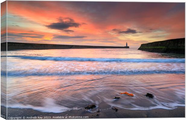 Sunrise at Seaham Harbour Canvas Print by Andrew Ray