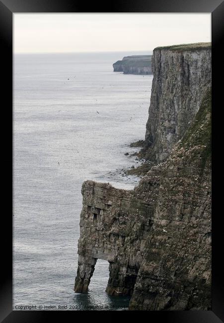 Bempton Cliffs Framed Print by Helen Reid
