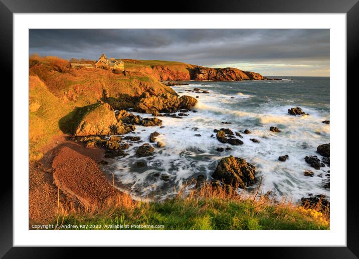 St Abb's view  Framed Mounted Print by Andrew Ray