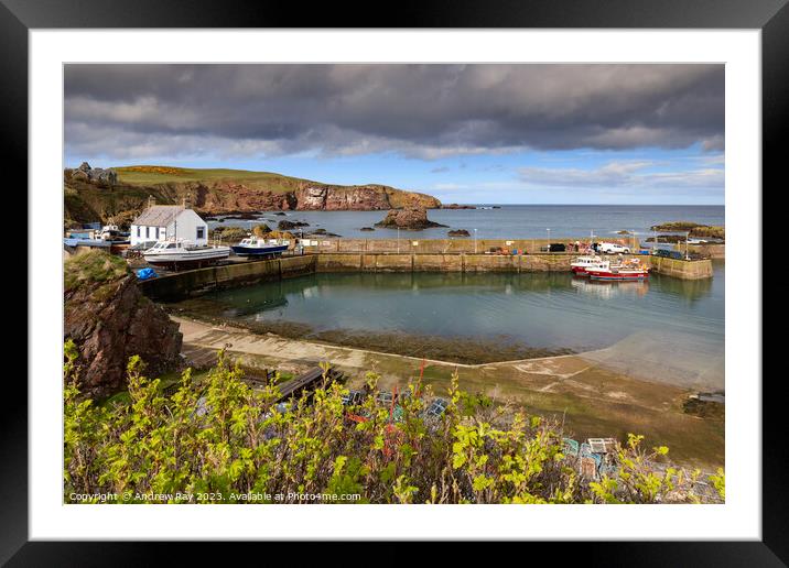 St Abb's Head Lighthouse in the Scottish Borders. Framed Mounted Print by Andrew Ray