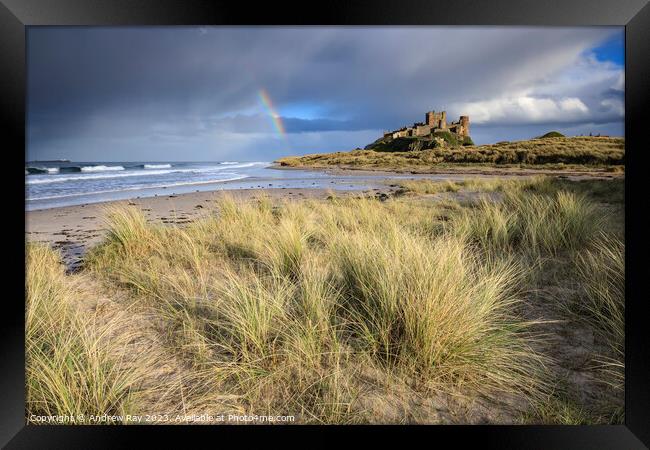 Stormy evening (Bamburgh Castle) Framed Print by Andrew Ray
