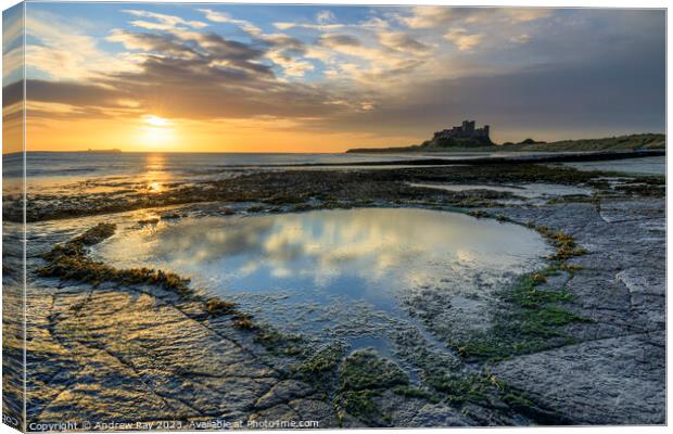 Morning reflections (Bamburgh Castle) Canvas Print by Andrew Ray