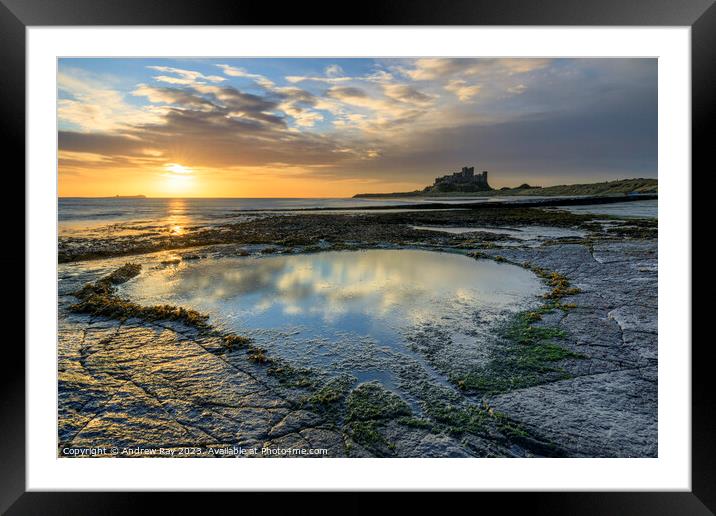 Morning reflections (Bamburgh Castle) Framed Mounted Print by Andrew Ray