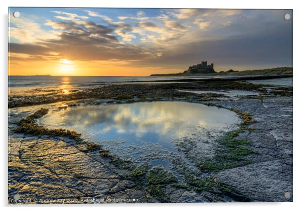 Morning reflections (Bamburgh Castle) Acrylic by Andrew Ray