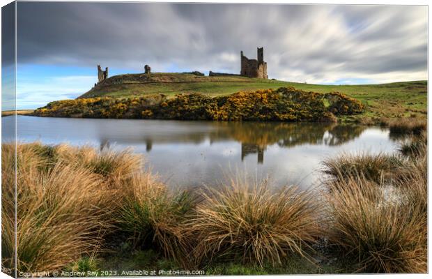 Morning at Dunstanburgh  Canvas Print by Andrew Ray