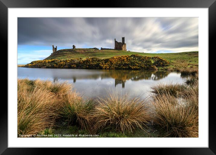 Morning at Dunstanburgh  Framed Mounted Print by Andrew Ray