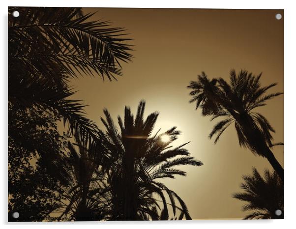 Sun through palms, Tioute oasis 2, sepia Acrylic by Paul Boizot