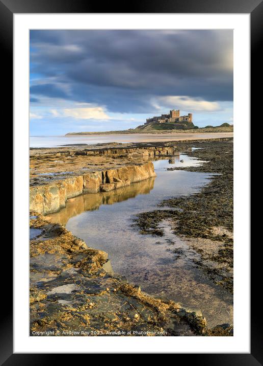 Ledges at Bamburgh  Framed Mounted Print by Andrew Ray