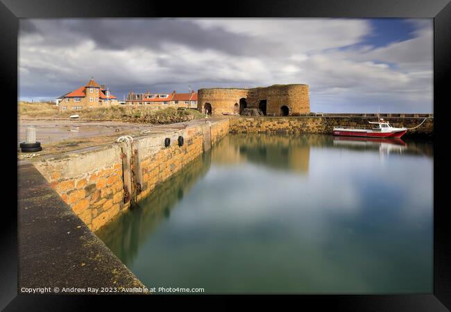 Beadnell Harbour Framed Print by Andrew Ray