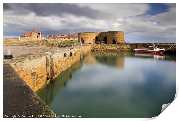 Beadnell Harbour Print by Andrew Ray
