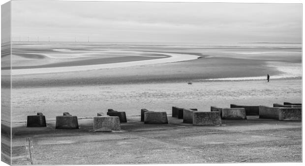 Solitude on Meols Shoreline: A Canine Tale Canvas Print by Jason Wells