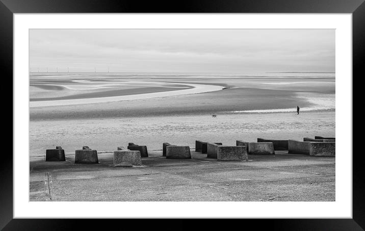 Solitude on Meols Shoreline: A Canine Tale Framed Mounted Print by Jason Wells