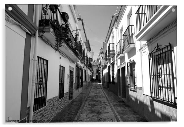 Street in Nerja, Spain, monochrome Acrylic by Paul Boizot