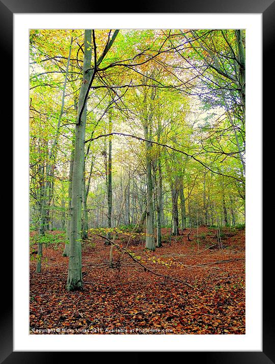 Autumn wood Framed Mounted Print by Nicky Vines