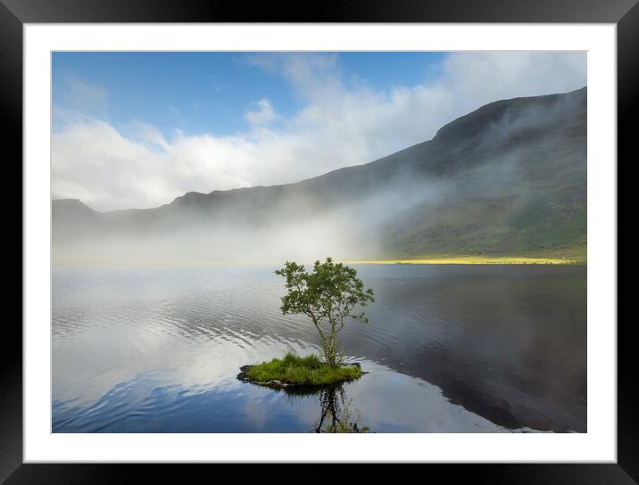 Lonely tree at Cwmorthin Framed Mounted Print by Rory Trappe