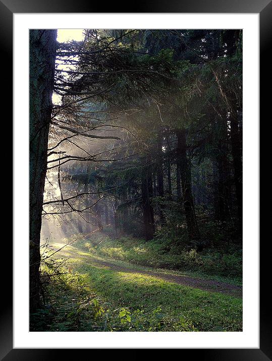 Ray of Hope Framed Mounted Print by Nicky Vines