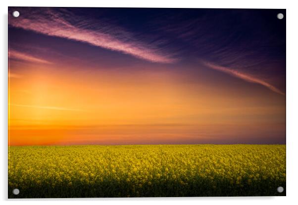 Norfolk Sunrise. Acrylic by Bill Allsopp