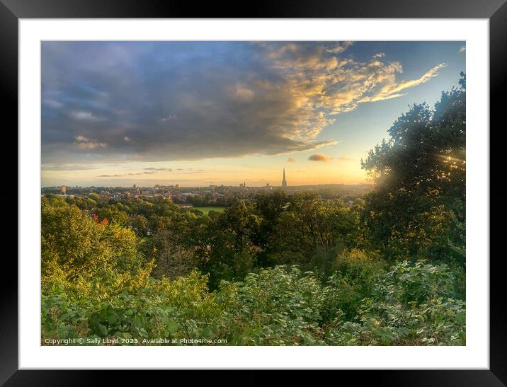 Sunset view of Norwich from Kett's Heights Framed Mounted Print by Sally Lloyd