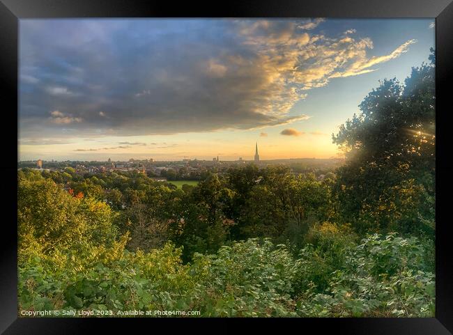 Sunset view of Norwich from Kett's Heights Framed Print by Sally Lloyd