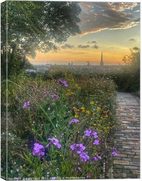Wildflower sunset view of Norwich Canvas Print by Sally Lloyd