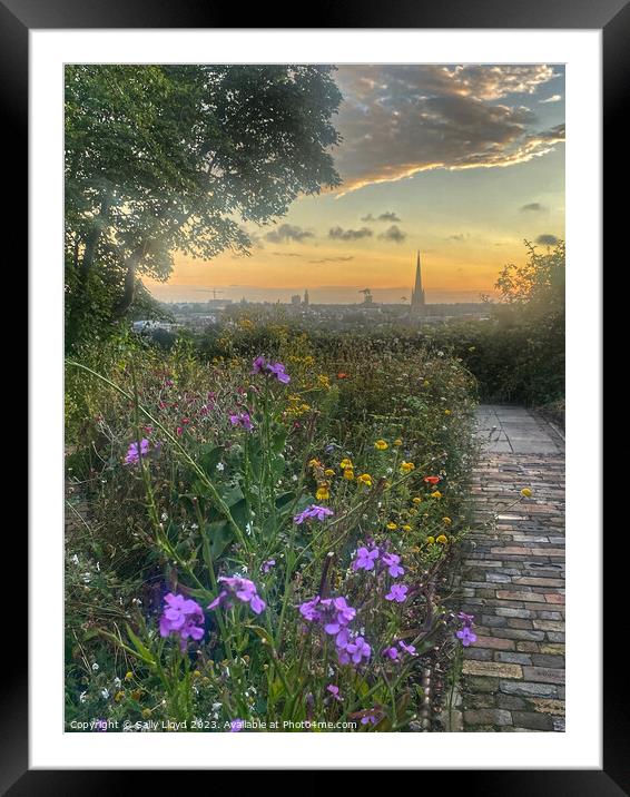 Wildflower sunset view of Norwich Framed Mounted Print by Sally Lloyd