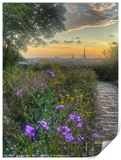 Wildflower sunset view of Norwich Print by Sally Lloyd