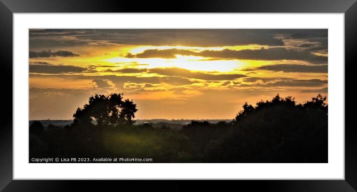 Forest Sunset Framed Mounted Print by Lisa PB
