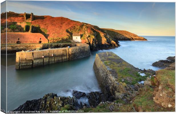 Morning at Porthgain Canvas Print by Andrew Ray