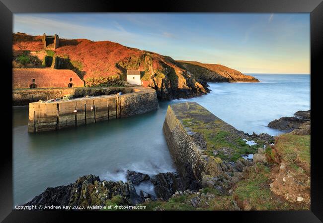 Morning at Porthgain Framed Print by Andrew Ray